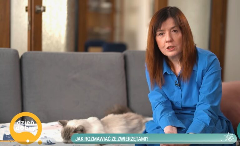 TVN